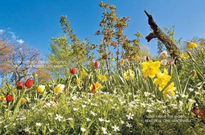 Ein Garten für das 21. Jahrhundert