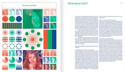Flexible Visual Systems