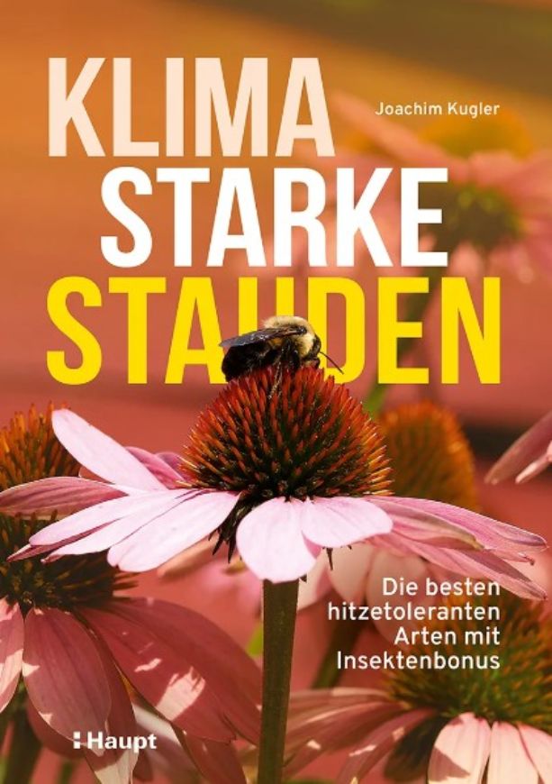 Klimastarke Stauden